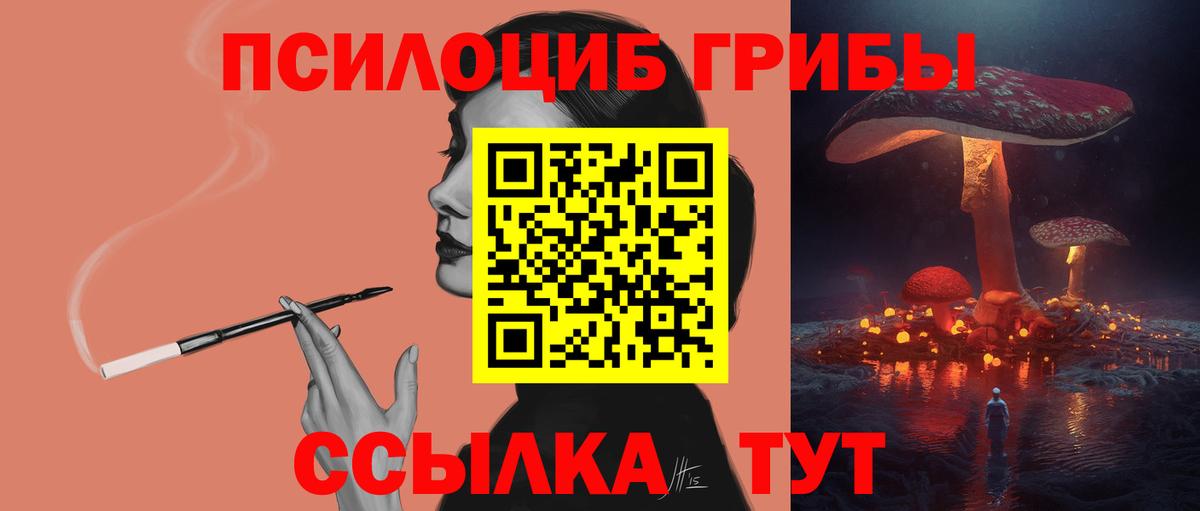 Псилоцибиновые грибы GOLDEN TEACHER Каспийск